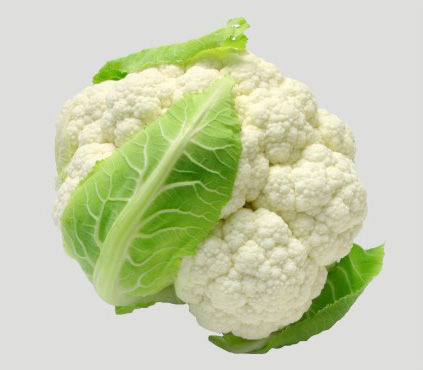 白花菜 - 保鲜蔬菜、出口保鲜蔬菜-日照怡和食品有限公司